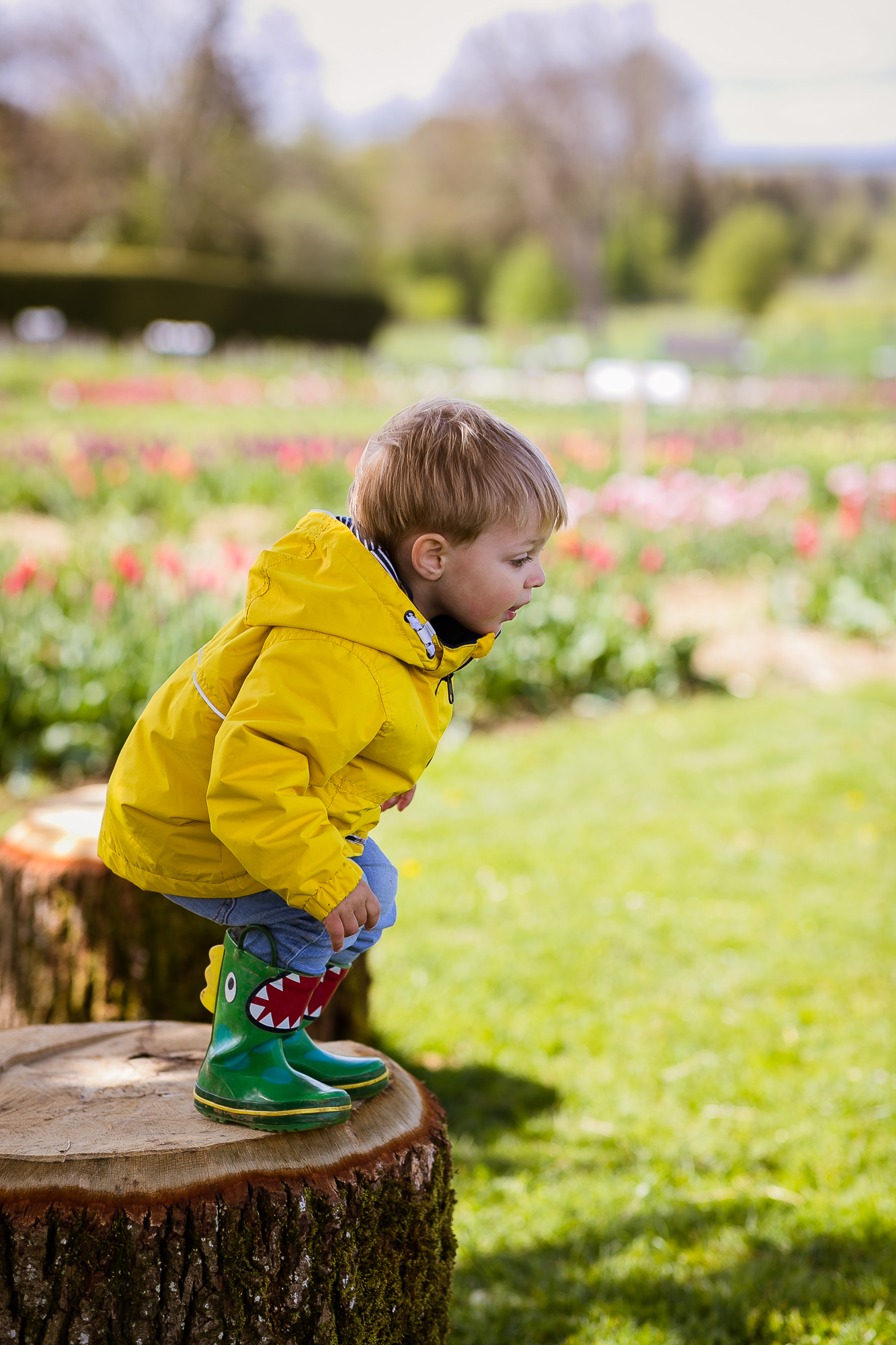 Export x3 1DX28239 Familienfotoshooting 2019 Hefti
